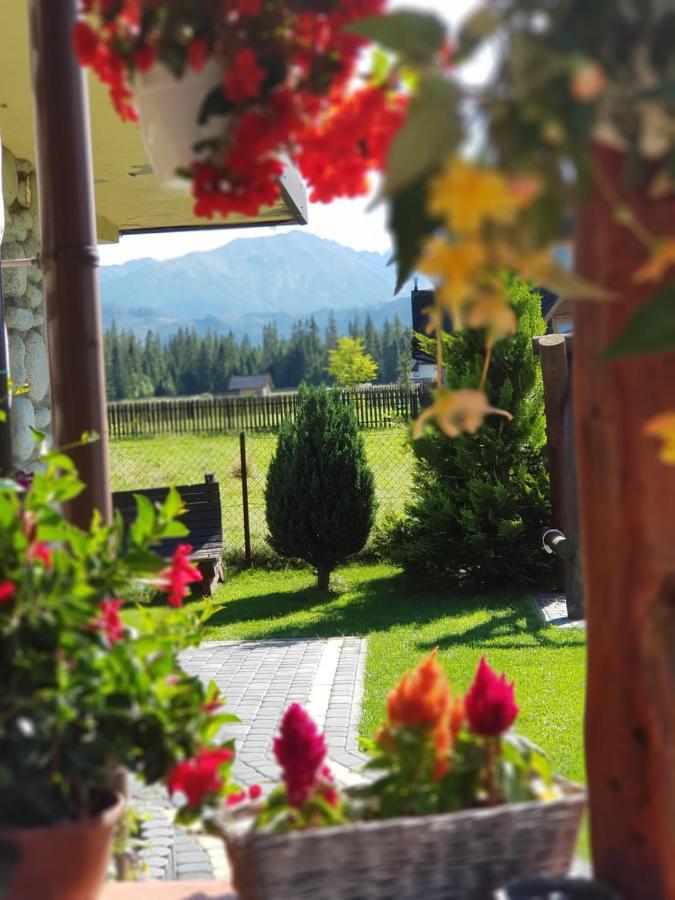 Lesne Zacisze Bed and Breakfast Murzasichle Exteriör bild