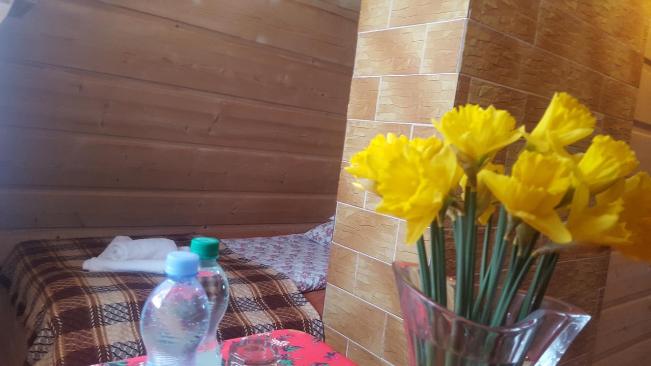 Lesne Zacisze Bed and Breakfast Murzasichle Exteriör bild